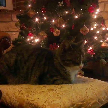 Zuzanna Frühstückspension Bad Kudowa