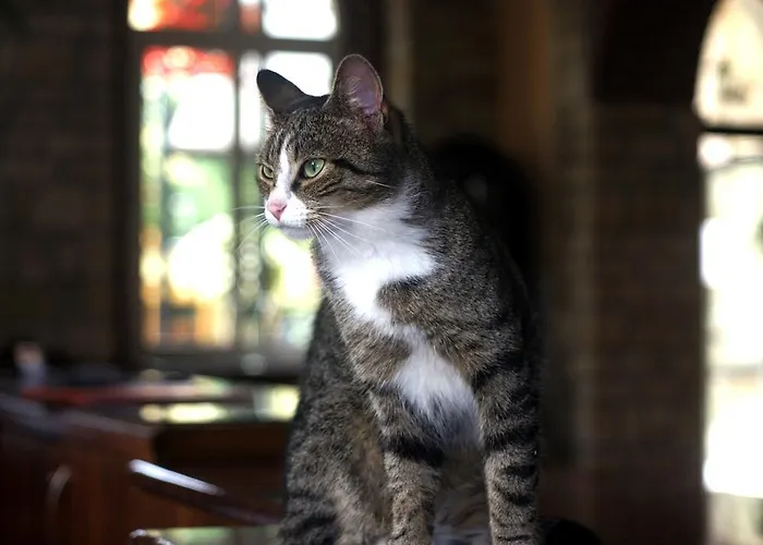 Frühstückspension Zuzanna Bad Kudowa