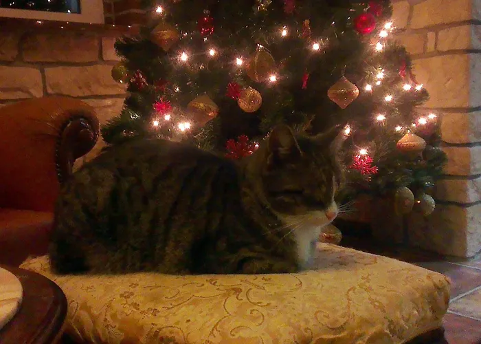 Zuzanna Frühstückspension Bad Kudowa